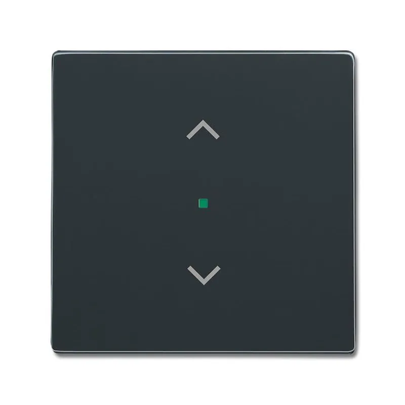 Busch-Jaeger 6232-10-81 1fach Symbol Jalousie Wippe