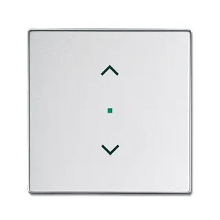 Busch-Jaeger 6232-10-83 1fach Symbol Jalousie Wippe