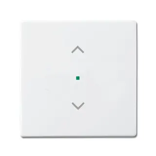 Busch-Jaeger 6232-10-84 1fach Symbol Jalousie Wippe