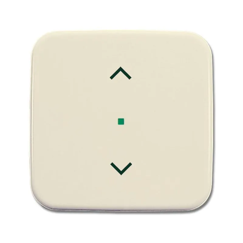 Busch-Jaeger 6232-10-212 1fach Symbol Jalousie Wippe