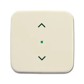 Busch-Jaeger 6232-10-212 1fach Symbol Jalousie Wippe