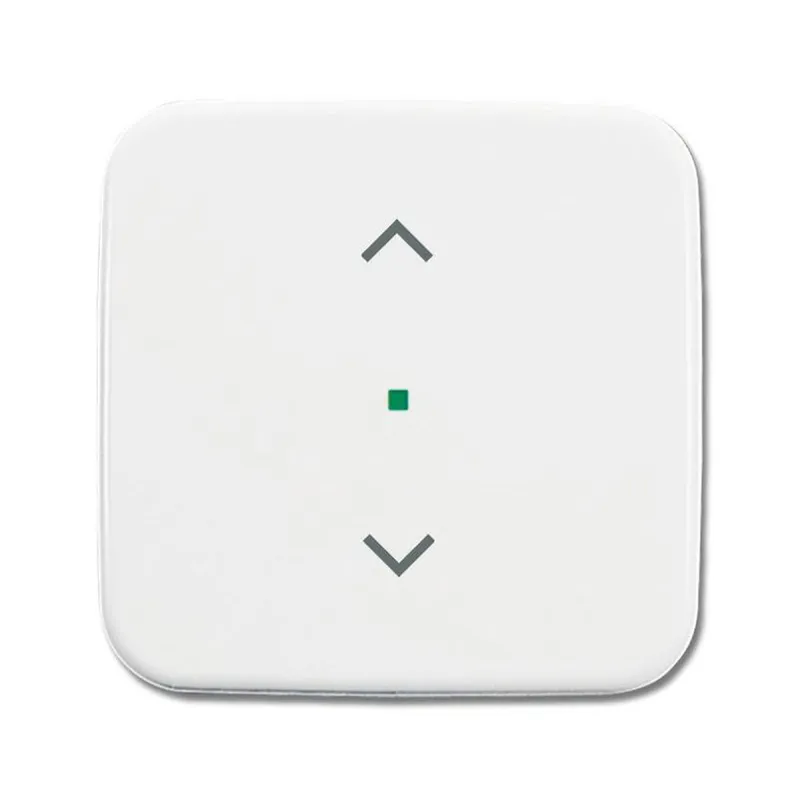 Busch-Jaeger 6232-10-214 1fach Symbol Jalousie Wippe