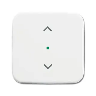 Busch-Jaeger 6232-10-214 1fach Symbol Jalousie Wippe