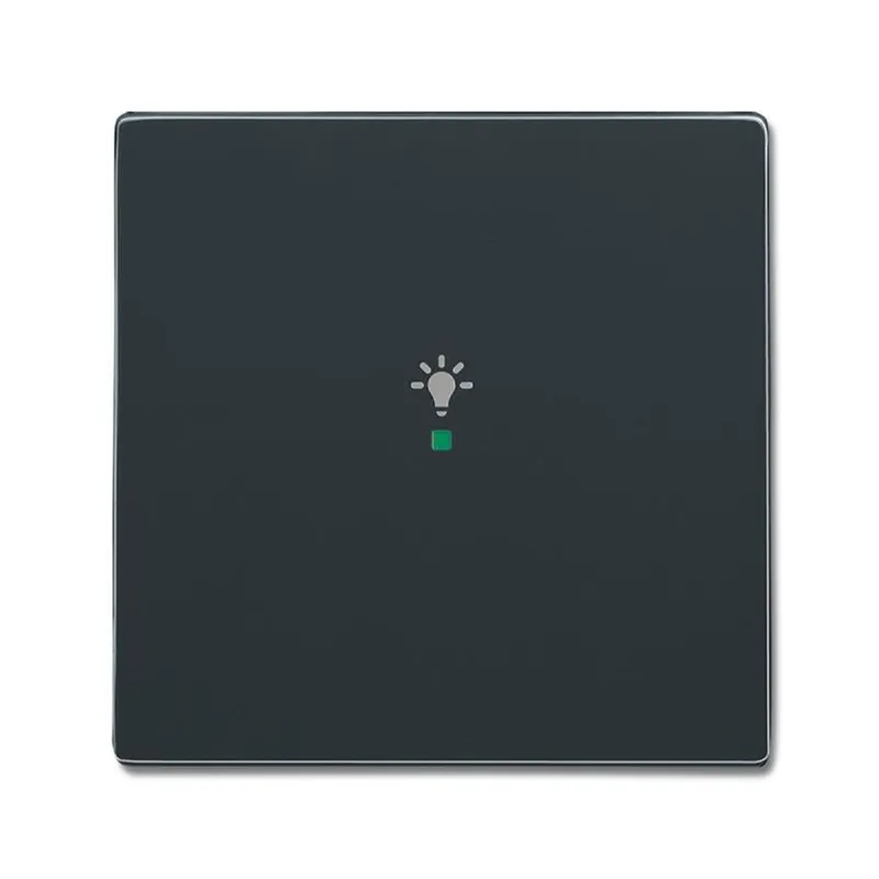 Busch-Jaeger 6231-10-81 1fach Symbol Licht Wippe