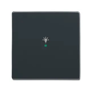 Busch-Jaeger 6231-10-81 1fach Symbol Licht Wippe