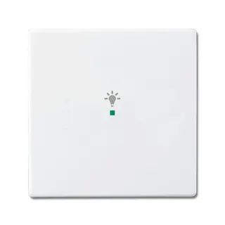Busch-Jaeger 6231-10-84 1fach Symbol Licht Wippe