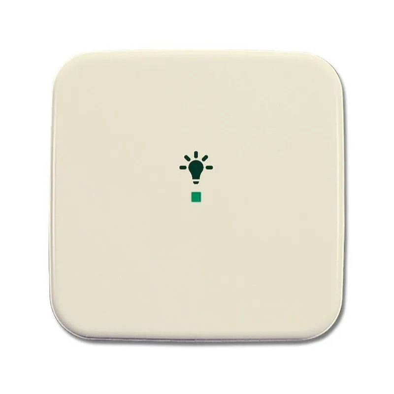 Busch-Jaeger 6231-10-212 1fach Symbol Licht Wippe