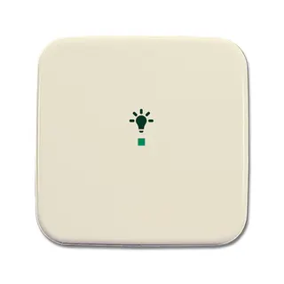 Busch-Jaeger 6231-10-212 1fach Symbol Licht Wippe