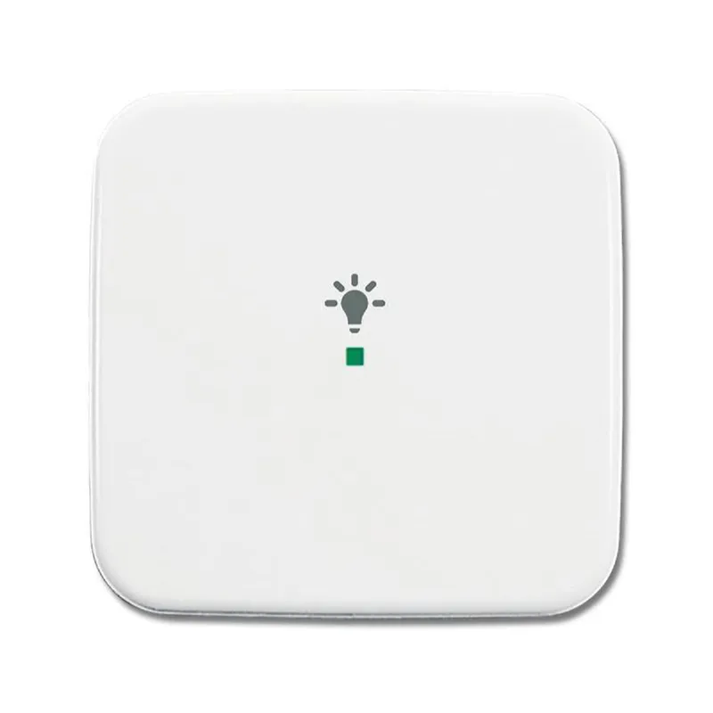 Busch-Jaeger 6231-10-214 1fach Symbol Licht Wippe
