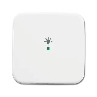 Busch-Jaeger 6231-10-214 1fach Symbol Licht Wippe