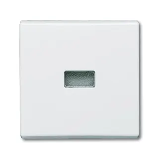 Busch-Jaeger 2107-34 AW44 Wippe