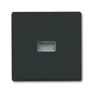 Busch-Jaeger 2107-35 AW44 Wippe