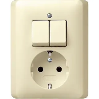 Gira Kombination 017501 Serien + SCHUKO Standard 55 cw