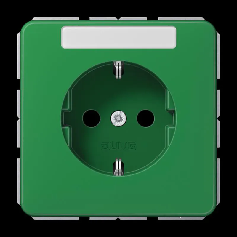 Jung SCHUKO Steckdose, 16 A 250 V ~, mit Schriftfeld, SAFETY+, Thermoplast, Serie CD, grün (für SV) CD1520BFKINAGN
