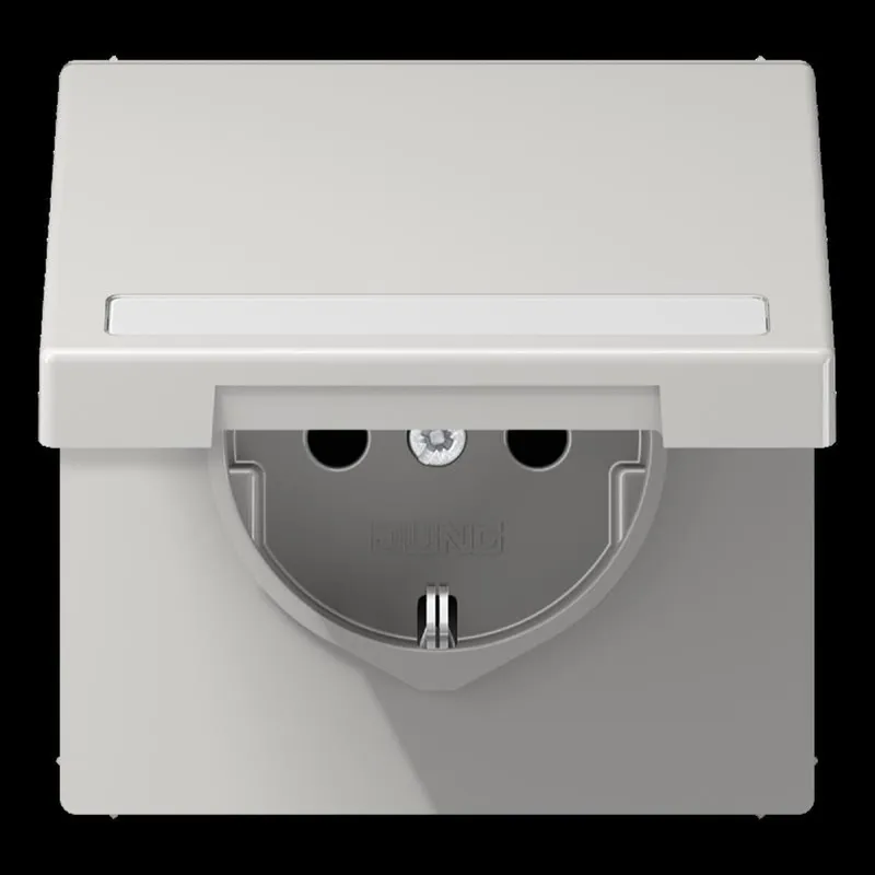 Jung SCHUKO Steckdose, 16 A 250 V ~, mit Schriftfeld, Thermoplast, Serie LS, lichtgrau LS1520BFNAKLLG