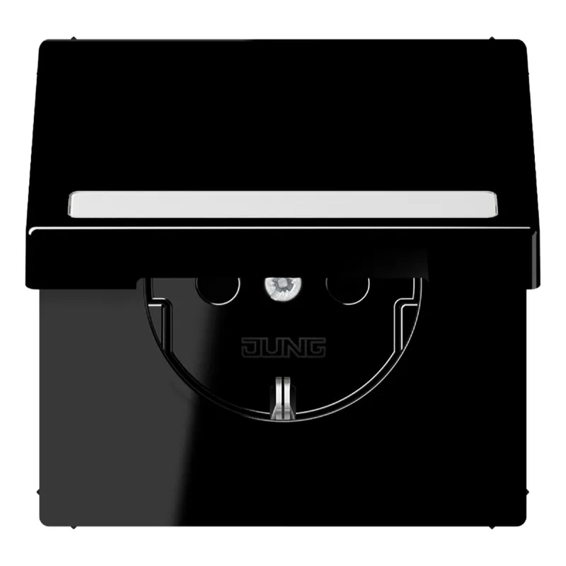 Jung SCHUKO Steckdose, 16 A 250 V ~, mit Schriftfeld, Thermoplast, Serie LS, schwarz LS1520BFNAKLSW