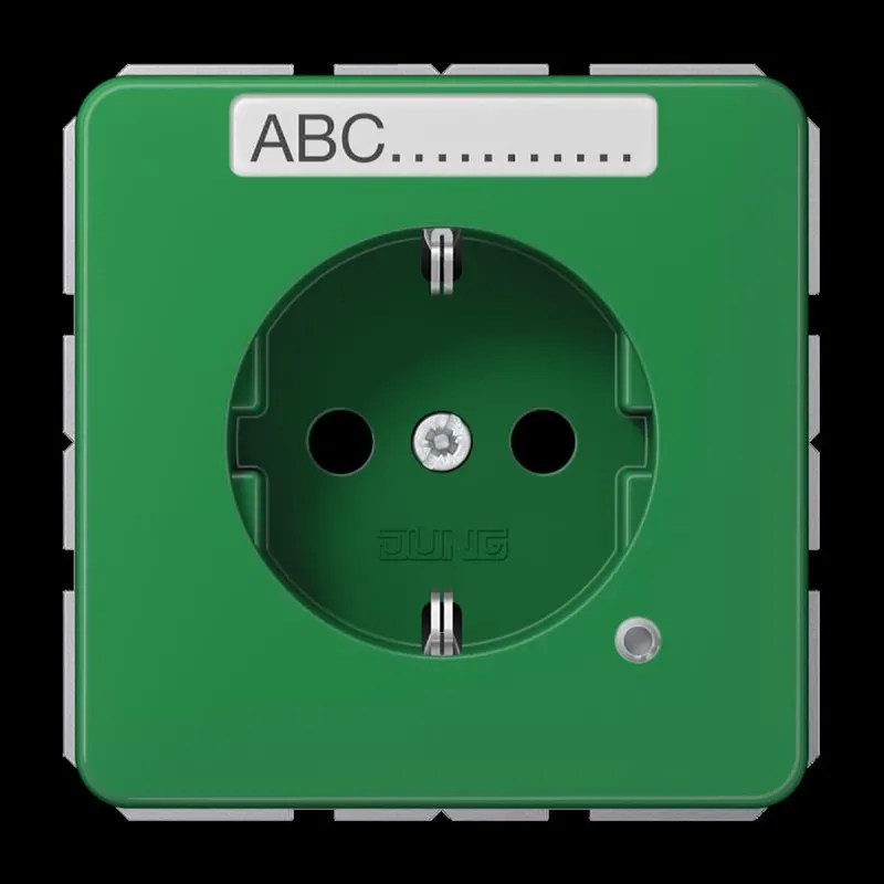 Jung SCHUKO Steckdose, 16 A 250 V ~, ohne Krallen, mit Funktionsanzeige, mit Schriftfeld, SAFETY+, Thermoplast, Ser CD1520BFNAKOGN