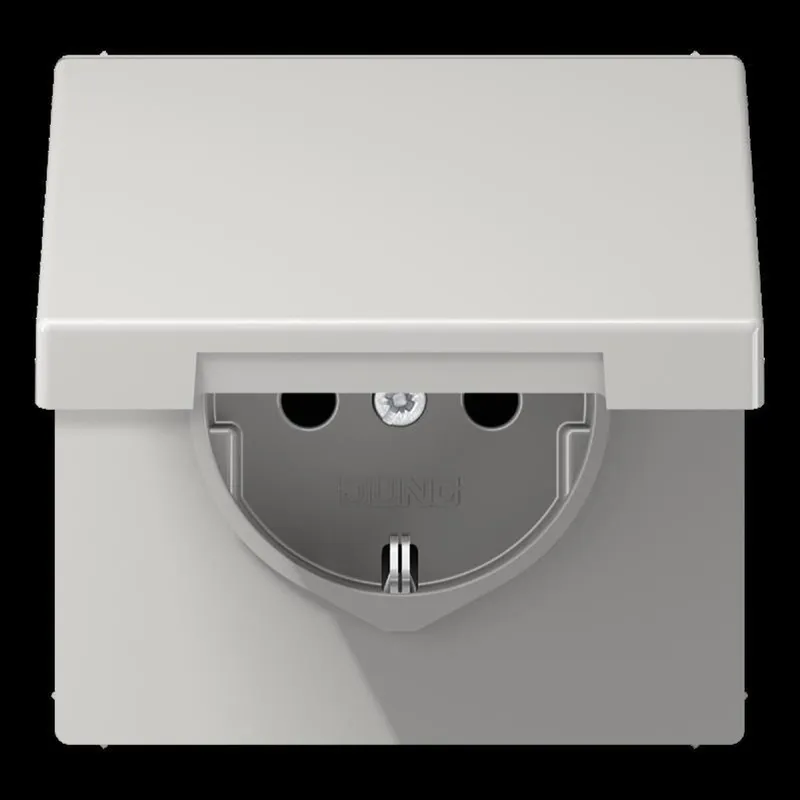 Jung SCHUKO Steckdose, 16 A 250 V ~, Duroplast, Serie LS, lichtgrau LS1520KIKLLG