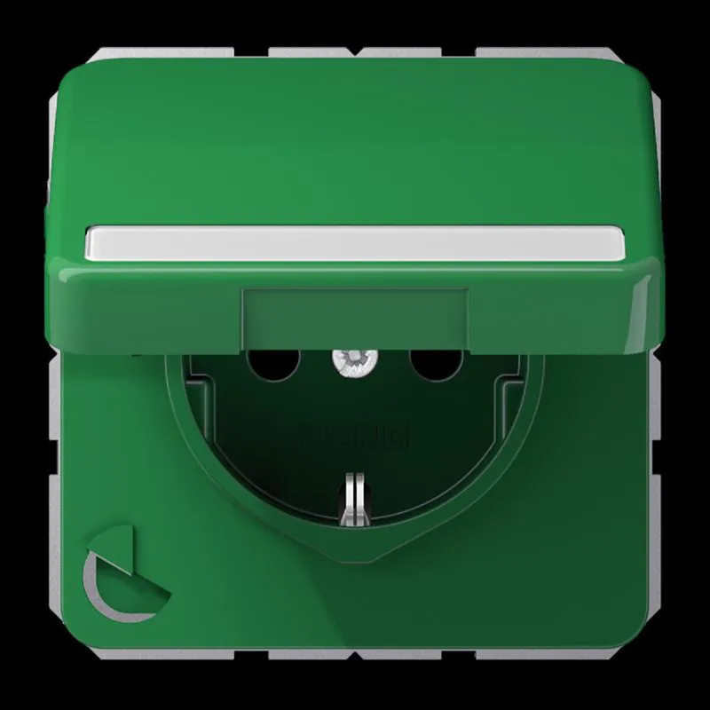 Jung SCHUKO Steckdose, 16 A 250 V ~, mit Schriftfeld, Thermoplast, Serie CD, grün (für SV) CD1520BFNAKLGN