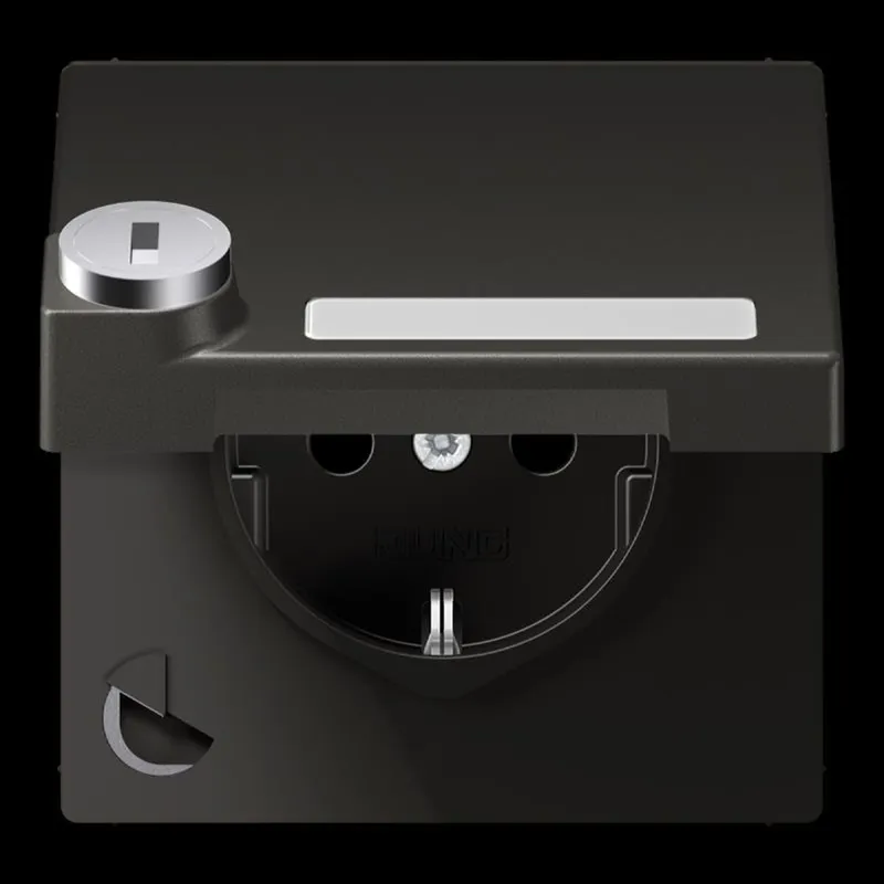 Jung SCHUKO Steckdose, 16 A 250 V ~, mit Schriftfeld, mit Sicherheitsschloss, Thermoplast lac AL1520NAKLSLAN