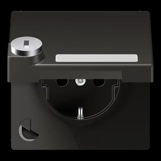 Jung SCHUKO Steckdose, 16 A 250 V ~, mit Schriftfeld, mit Sicherheitsschloss, Thermoplast lac AL1520NAKLSLAN