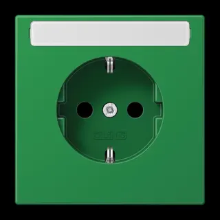 Jung SCHUKO Steckdose, 16 A 250 V ~, mit Schriftfeld, Thermoplast, Serie LS, grün (für SV) LS1520BFNAGN