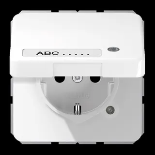 Jung SCHUKO Steckdose, 16 A 250 V ~, ohne Krallen, mit Funktionsanzeige, mit Schriftfeld, The CD1520NAKLKOWW