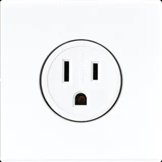 Jung Steckdose, US-Norm NEMA, 15 A 125 V ~, Schraubklemmen, ohne Krallen, Thermoplast, Serie LS, alpinweiß LS521-15WW