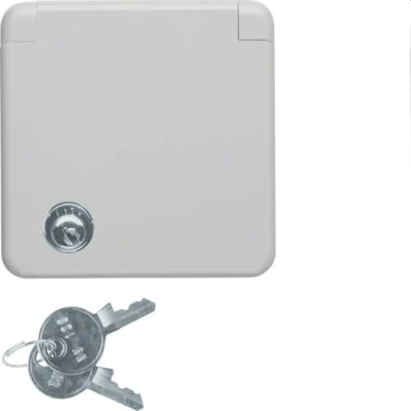 Berker SCHUKO-Steckdose M34212 IP44 grau glaenzend