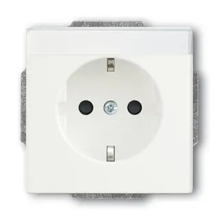 Busch-Jaeger 20 EUN-884 mit Beschriftungsfeld SCHUKO-Steckdose