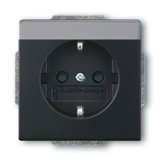 Busch-Jaeger 20 EUN-885 mit Namensschild SCHUKO-Steckdose