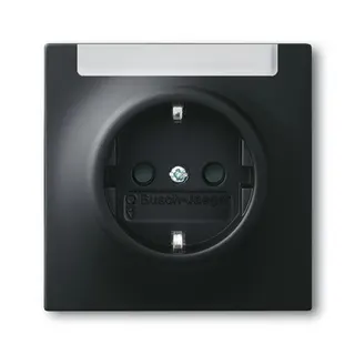 Busch-Jaeger 20 EUN-775 mit Beschriftungsfeld SCHUKO-Steckdose