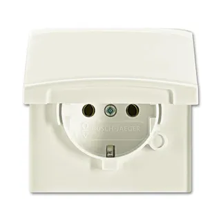 Busch-Jaeger 20 EUGK-32-101 AW44 Steckdose