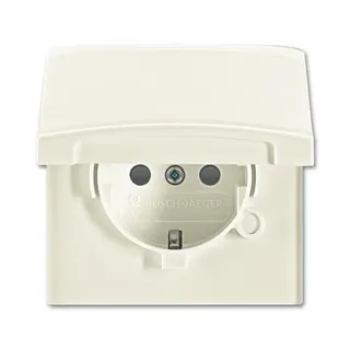 Busch-Jaeger 20 EUGKB-32-101 AW44 Steckdose