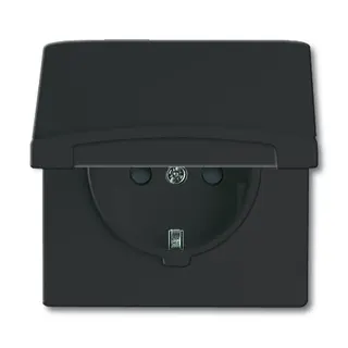 Busch-Jaeger 20 EUGKB-35-101 AW44 Steckdose