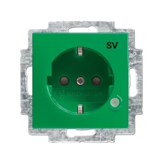Busch-Jaeger 20 EUCBL-13-914 eBs gruen SCHUKO-Steckdose