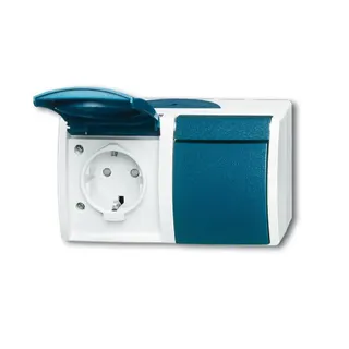 Busch-Jaeger 20/2 EBW-53 2fach waagerecht ocean Steckdose