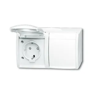 Busch-Jaeger 20/2 EBW-54 2fach waagerecht ocean Steckdose