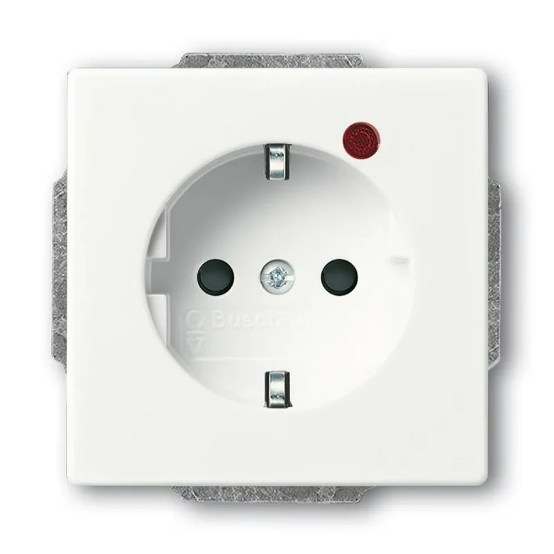 Busch-Jaeger 2310EUGL/VA-884-11 SCHUKO-Steckdose