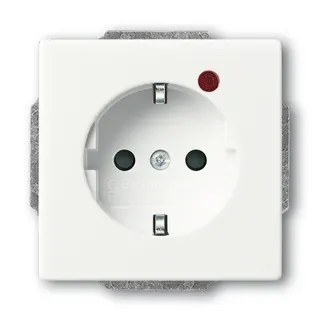 Busch-Jaeger 2310EUGL/VA-884-11 SCHUKO-Steckdose