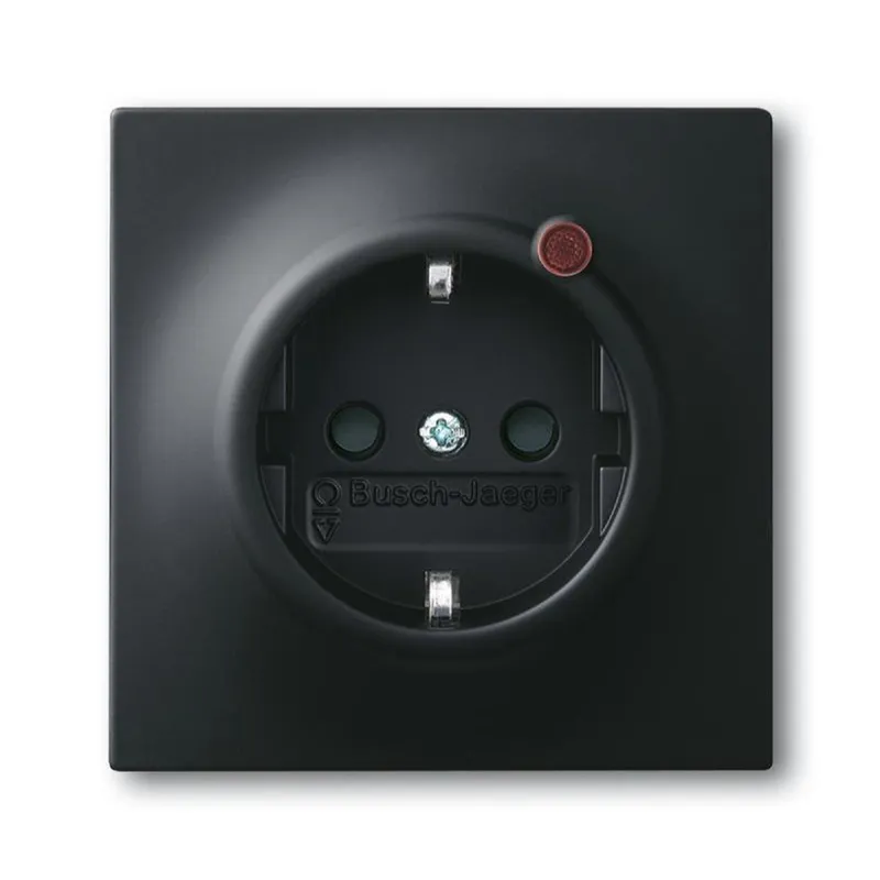 Busch-Jaeger 2310EUGL/VA-775-11 SCHUKO-Steckdose