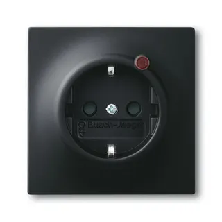 Busch-Jaeger 2310EUGL/VA-775-11 SCHUKO-Steckdose
