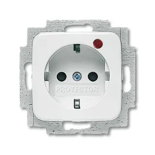 Busch-Jaeger 2310 EUGL/VAB-214 SCHUKO-Steckdose