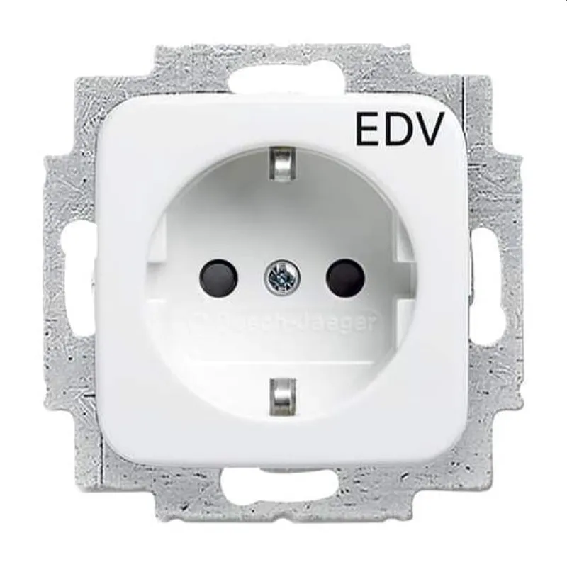 Busch-Jaeger 20 EUC/DVKS-214 Aufdruck EDV SCHUKO-Steckdose