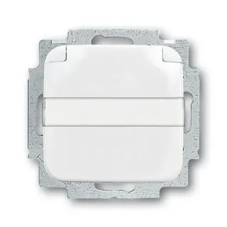 Busch-Jaeger 20 EUKNB-214 Klappdeckel Namenschild SCHUKO-Steckdose