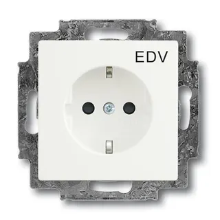 Busch-Jaeger 20 EUCKS/DV-884 EDV SCHUKO-Steckdose