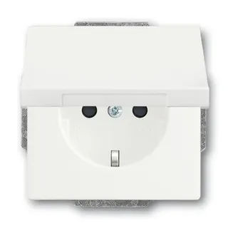 Busch-Jaeger 20 EUK-884 Klappdeckel SCHUKO-Steckdose