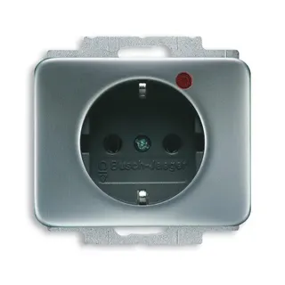 Busch-Jaeger 2310EUGL/VA-266-11 Steckdose