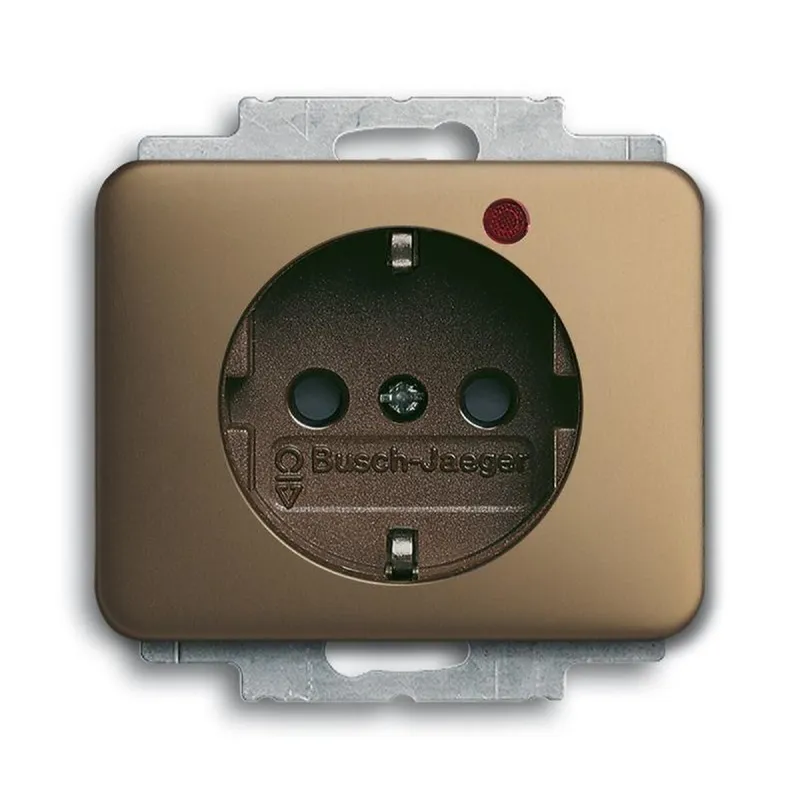 Busch-Jaeger 2310 EUGL/VA-21-11 Steckdose