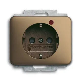Busch-Jaeger 2310 EUGL/VA-21-11 Steckdose